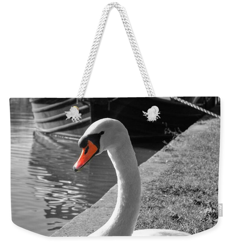  Yhun Suarez Weekender Tote Bag featuring the photograph Canal Swan by Yhun Suarez
