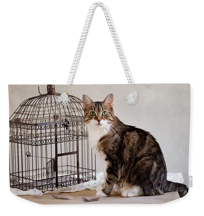 Cat Weekender Tote Bag featuring the photograph Cat and Bird by Nailia Schwarz