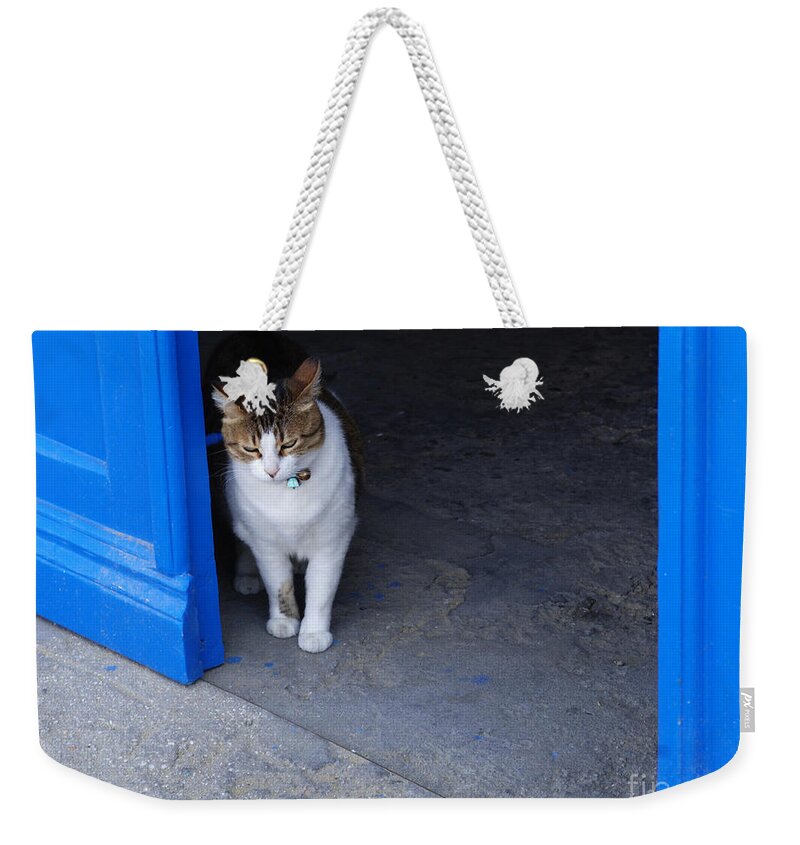 Cat Weekender Tote Bag featuring the photograph Cat At The Doorway by Bob Christopher