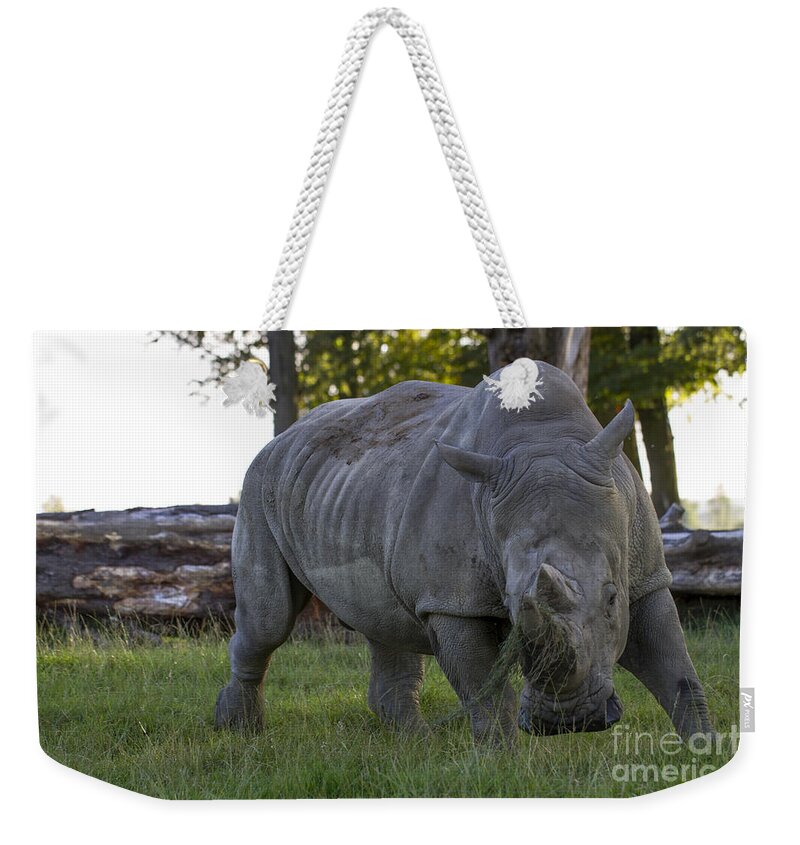 Clare Bambers Weekender Tote Bag featuring the photograph Charging Rhino. by Clare Bambers