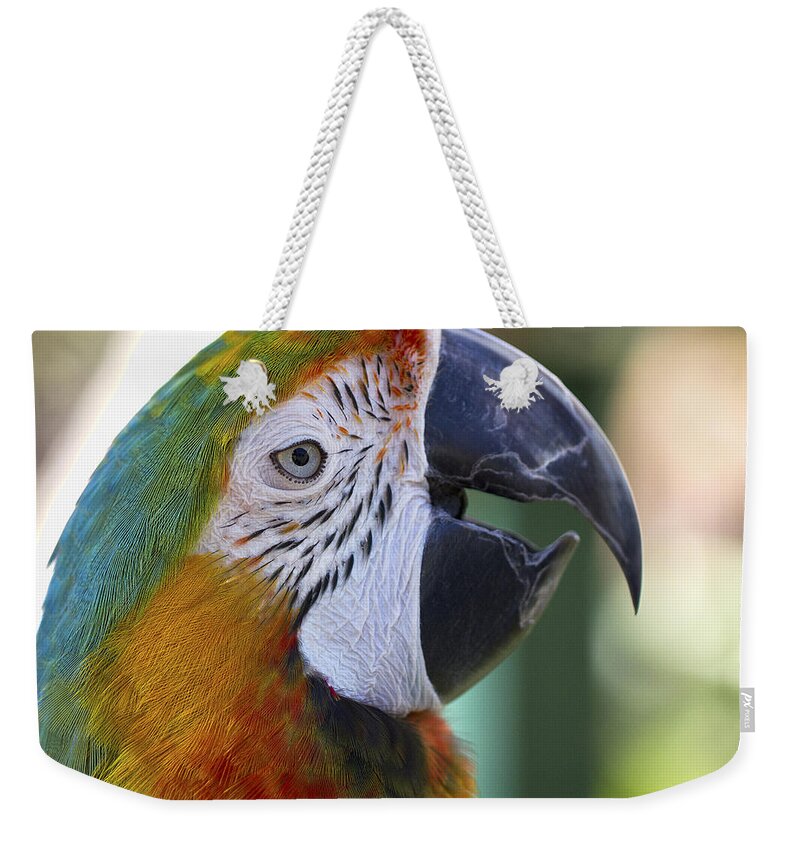 Clare Bambers Weekender Tote Bag featuring the photograph Chatty Macaw by Clare Bambers