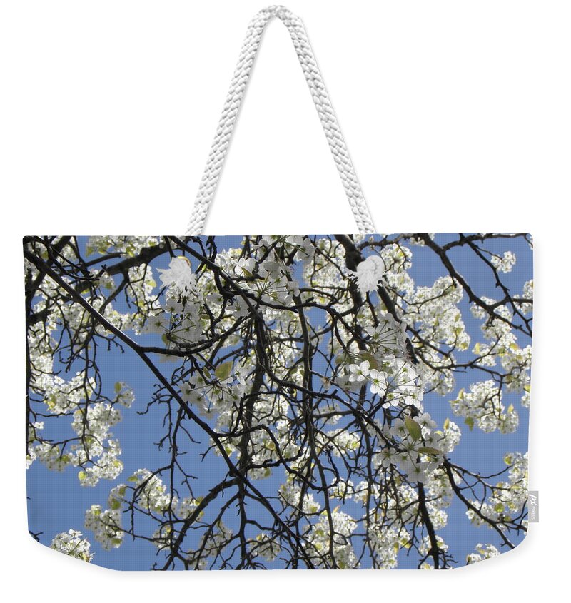 Cherry Blossom Weekender Tote Bag featuring the photograph Cherry Blossoms by Kim Galluzzo