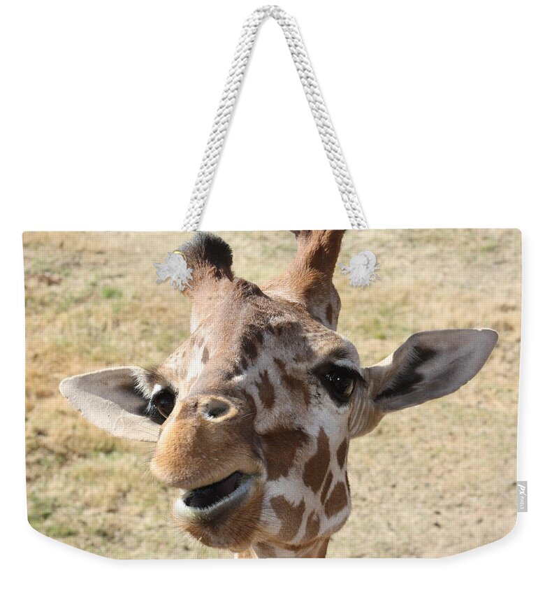 Giraffe Weekender Tote Bag featuring the photograph Chewing my treat by Kim Galluzzo Wozniak