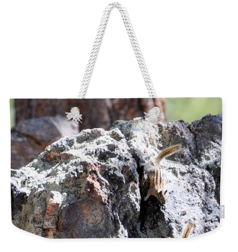 Chipmunk Weekender Tote Bag featuring the photograph Chip n' Dale by Dorrene BrownButterfield