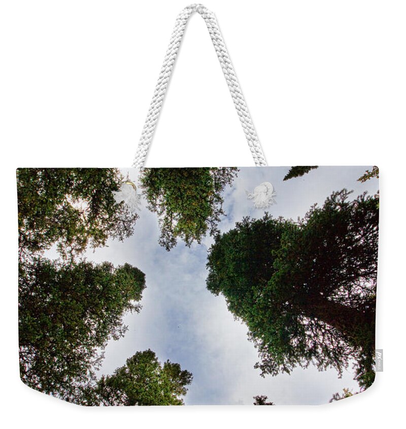 'brainard Lake' Weekender Tote Bag featuring the photograph Colorado Rocky Mountain Forest Sky by James BO Insogna