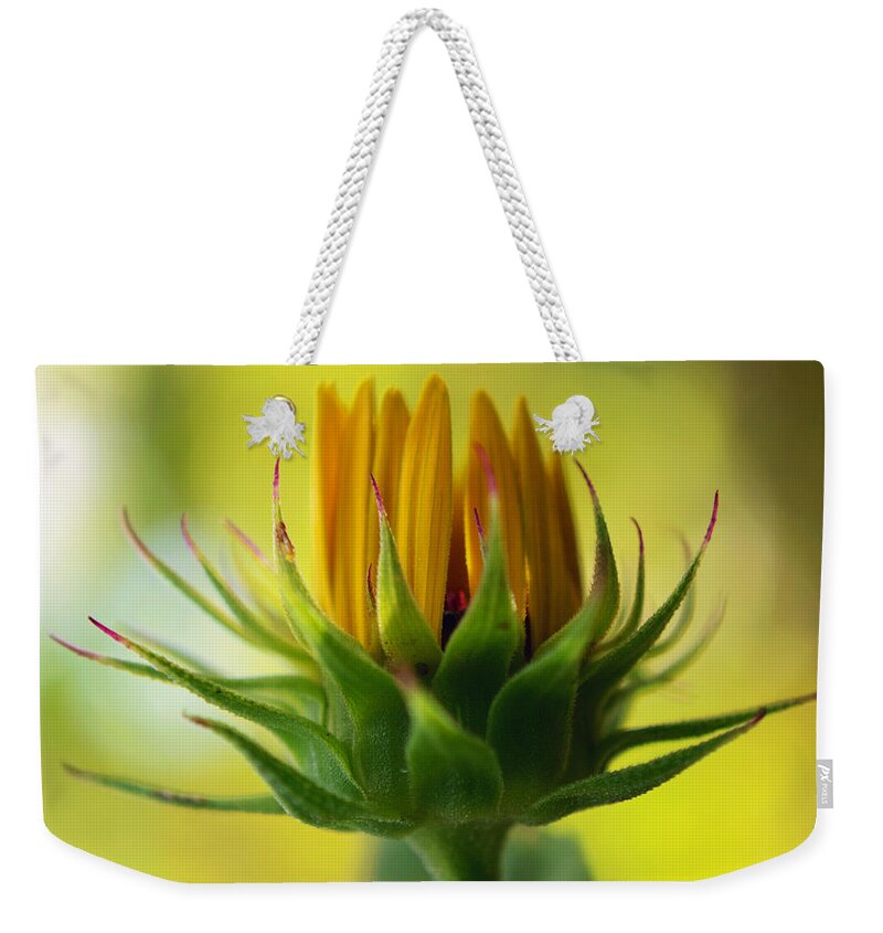 Flower Weekender Tote Bag featuring the photograph Colors of the Spirit by Melanie Moraga