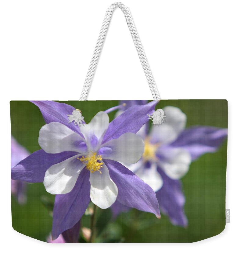 Colorado State Flower Weekender Tote Bag featuring the photograph Columbine by Marta Alfred