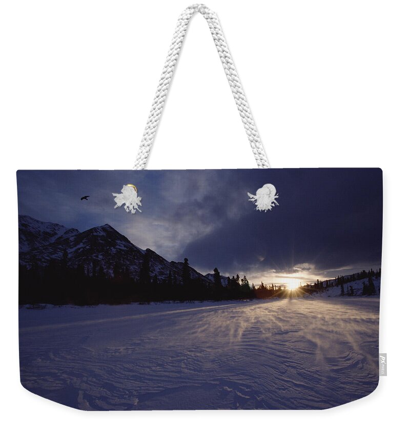 Mp Weekender Tote Bag featuring the photograph Common Raven Corvus Corax At Sunset by Michael Quinton