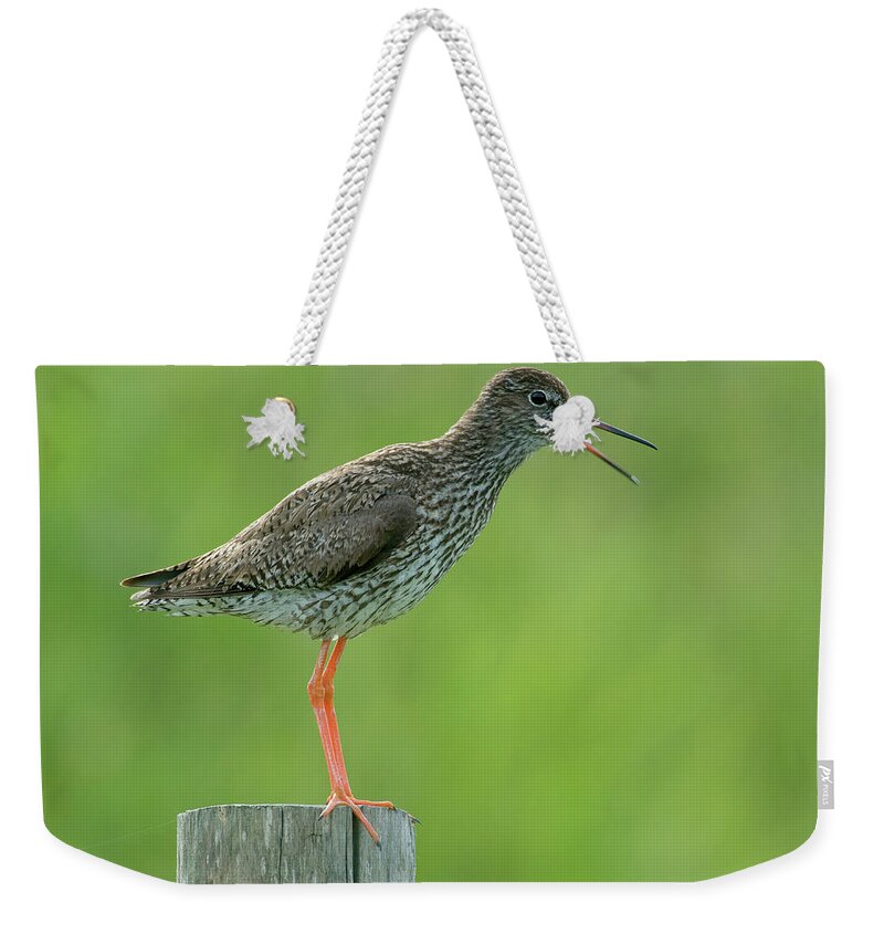 00286624 Weekender Tote Bag featuring the photograph Common Redshank Calling by Do Van Dijck