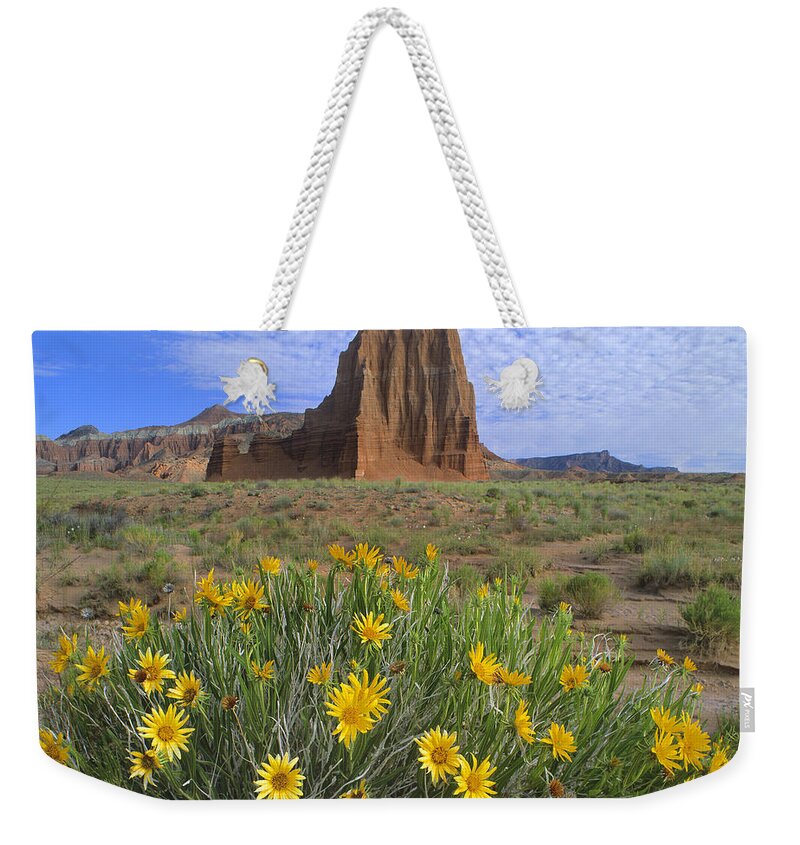 00175971 Weekender Tote Bag featuring the photograph Common Sunflower Cluster And Temple by Tim Fitzharris