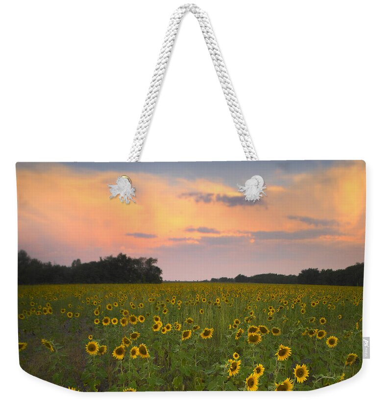 00176017 Weekender Tote Bag featuring the photograph Common Sunflower Field Near Flint Hills by Tim Fitzharris