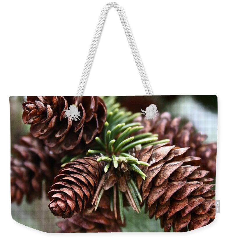 Tree Weekender Tote Bag featuring the photograph Cone Congregation by Susan Herber