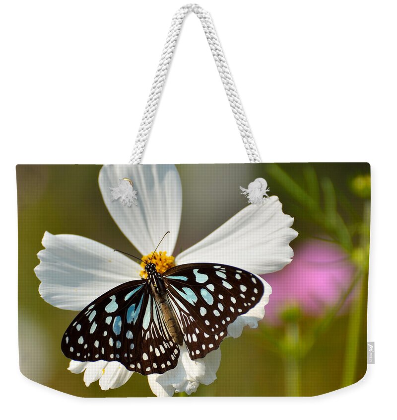 Butterfly Weekender Tote Bag featuring the photograph A Study in Contrast by Fotosas Photography