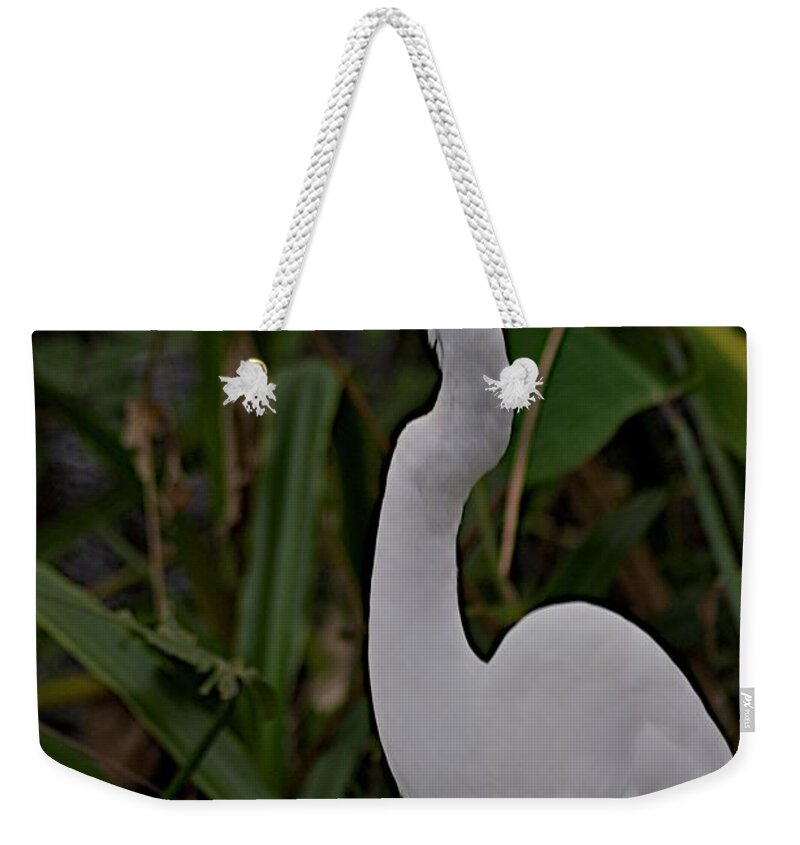 Audobon Corkscrew Swamp Sanctuary Weekender Tote Bag featuring the photograph Corkscrew by Joseph Yarbrough