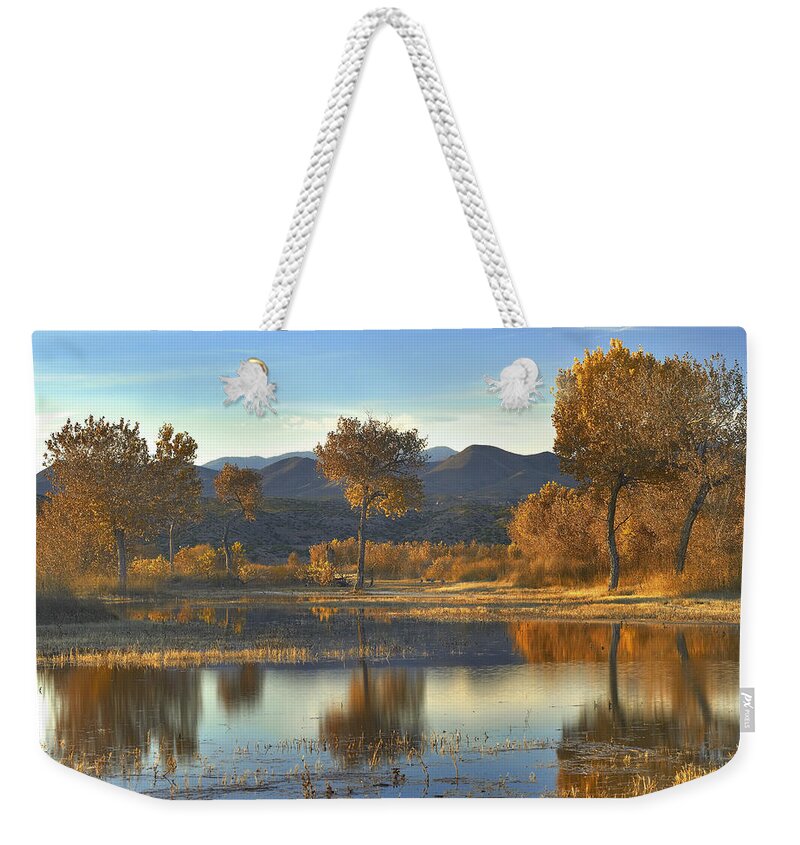 00175137 Weekender Tote Bag featuring the photograph Cottonwood Trees And Willows Fall by Tim Fitzharris