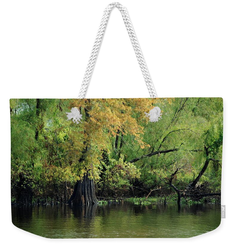 Cypress Weekender Tote Bag featuring the photograph Cypress In Early Morning by Ron Weathers