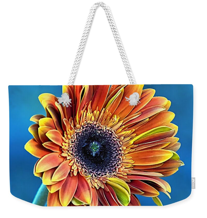 Gerber Daisy Weekender Tote Bag featuring the photograph Daisy Dialation by Bill and Linda Tiepelman