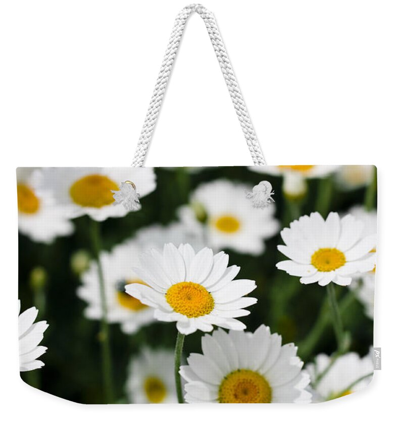 Daisy Weekender Tote Bag featuring the photograph Daisies in a field by Simon Bratt