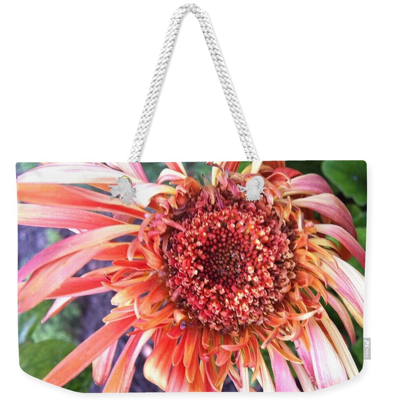 Red Flower Weekender Tote Bag featuring the photograph Daisy in the Wind by Vonda Lawson-Rosa