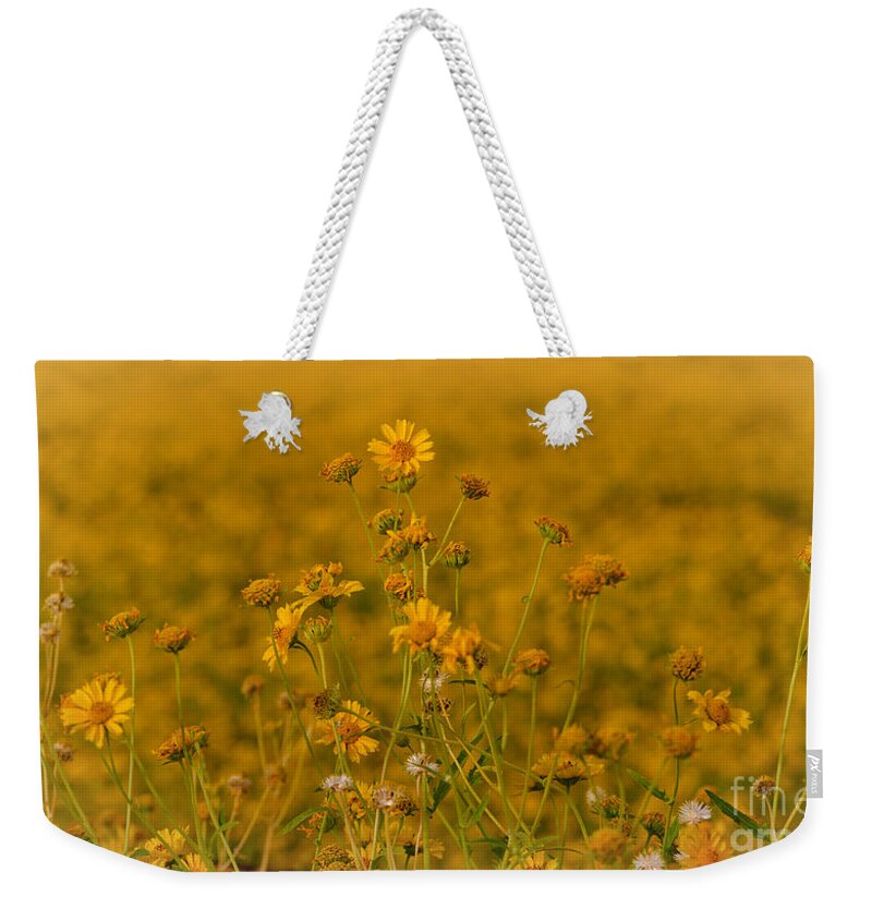 Flower Weekender Tote Bag featuring the photograph Daisy's by Donna Greene
