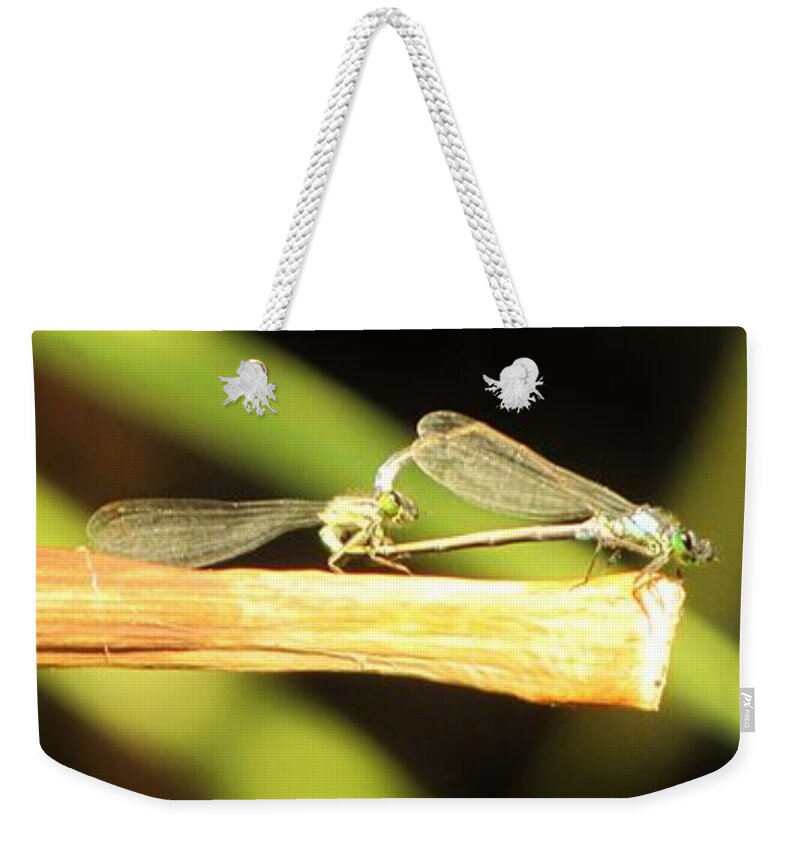 Damselflies Weekender Tote Bag featuring the photograph Damselflies in Nature by Life Inspired Art and Decor