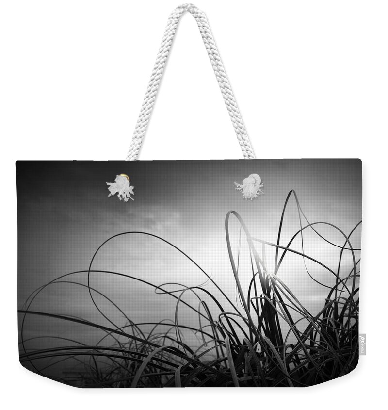 Grass Weekender Tote Bag featuring the photograph Dancing Queen by Dorit Fuhg