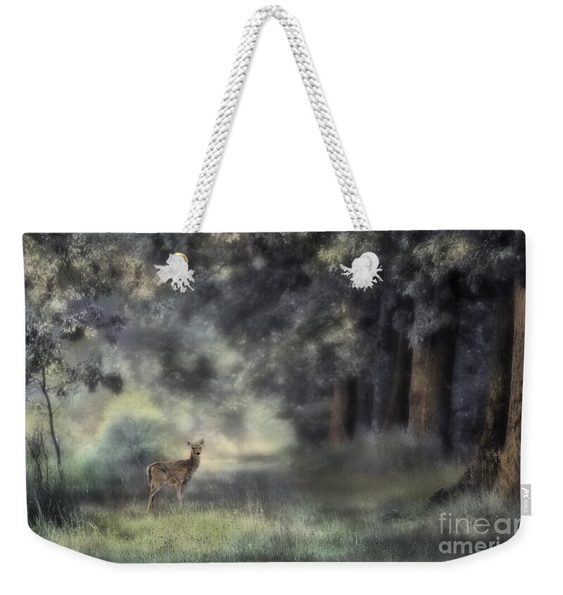 Deer In The Woods Weekender Tote Bag featuring the photograph Deer in the Woods by Jill Battaglia