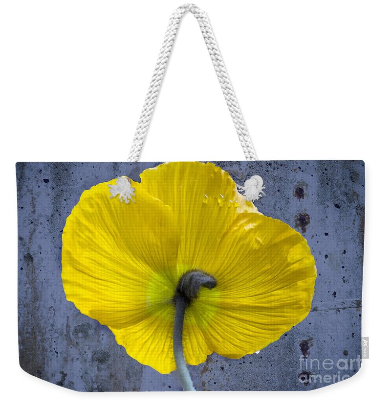 Poppy Weekender Tote Bag featuring the photograph Delicate and Strong by Heiko Koehrer-Wagner