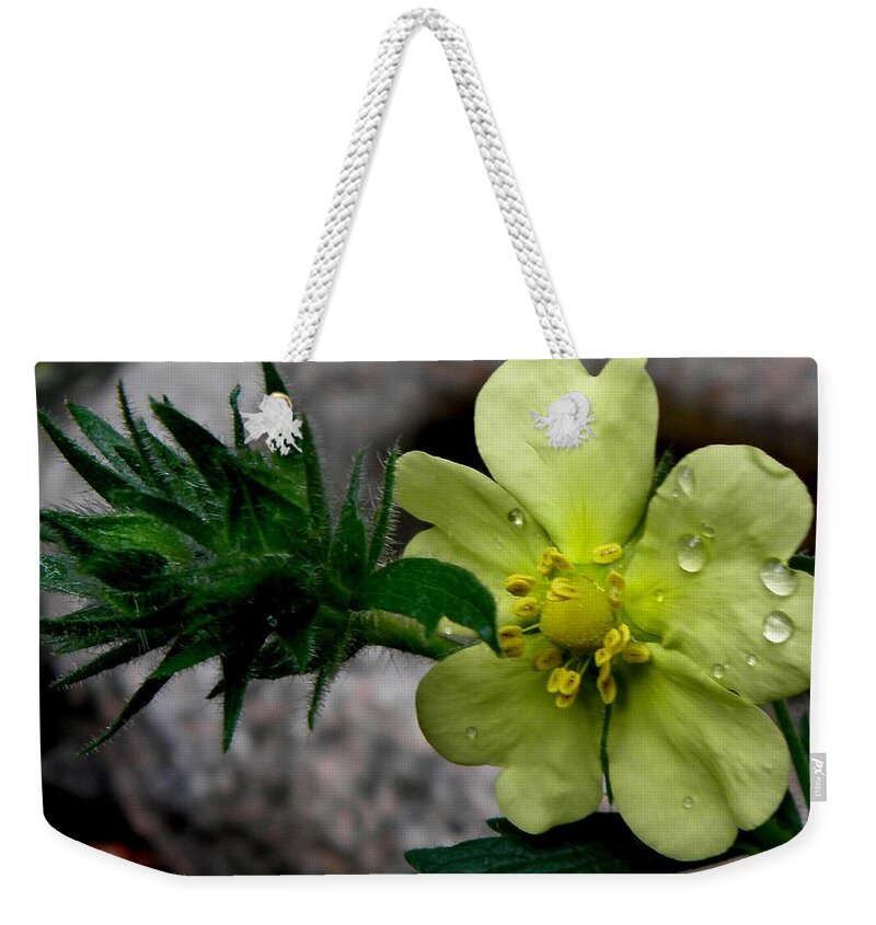 Yellow Weekender Tote Bag featuring the photograph Delicate Droplets by Kim Galluzzo