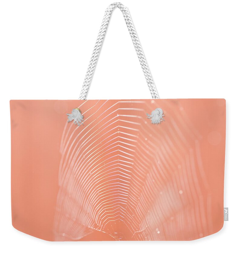 Spider Weekender Tote Bag featuring the photograph Delicate Web by Margaret Pitcher
