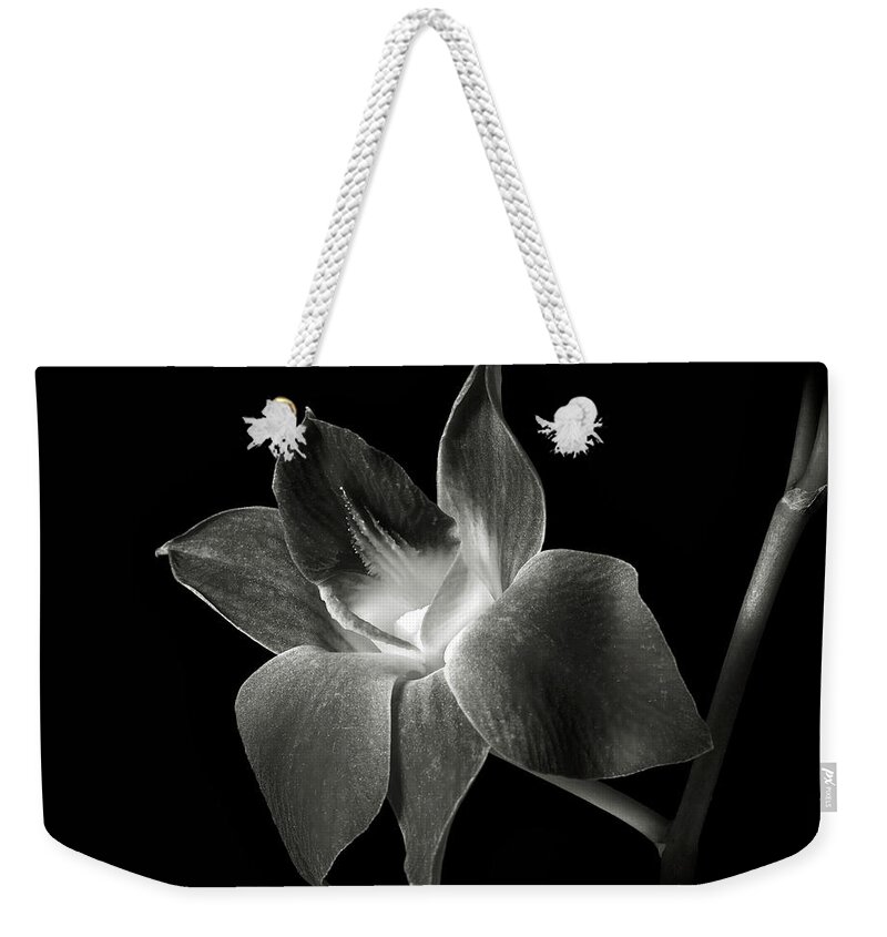 Flower Weekender Tote Bag featuring the photograph Dendrobium Orchid in Black and White by Endre Balogh