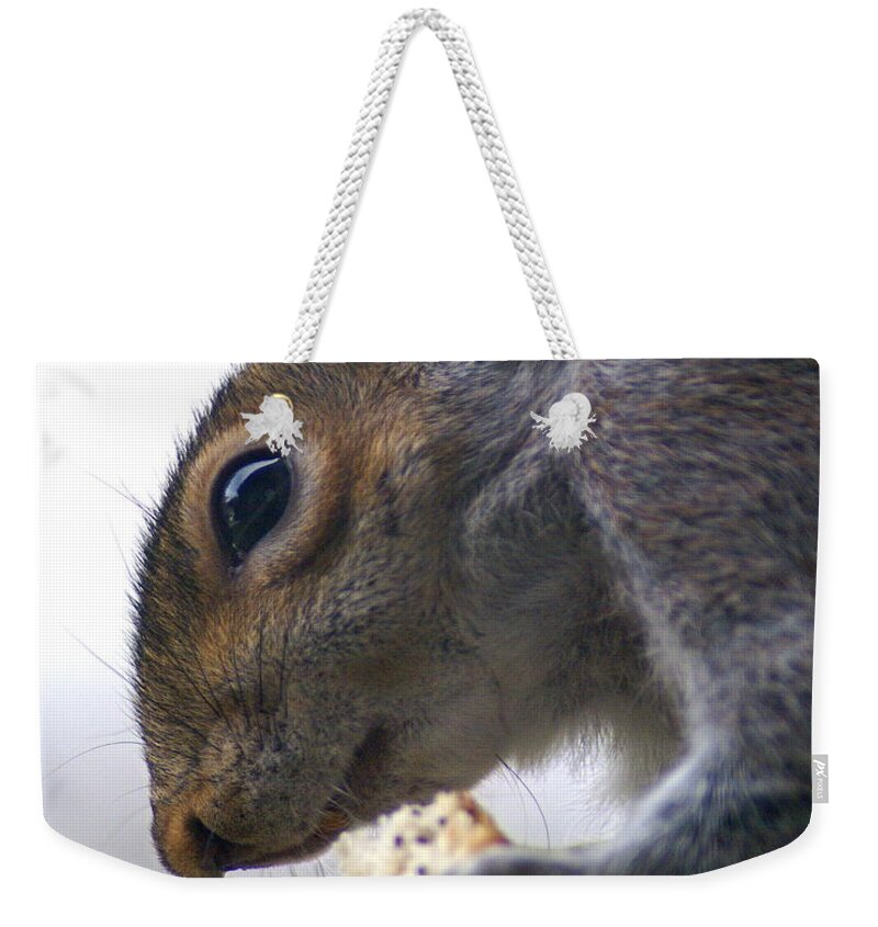 Squirrel Weekender Tote Bag featuring the photograph Dinner Time by Ben Upham III