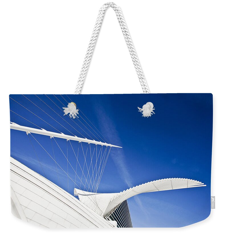 Milwaukee Weekender Tote Bag featuring the photograph Dive Into by CJ Schmit