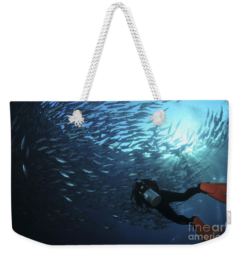 Diver Weekender Tote Bag featuring the photograph Diver Photographing A School by Mathieu Meur