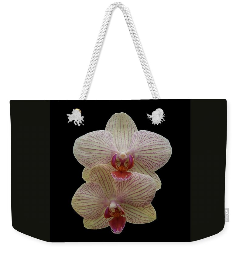 Flower Weekender Tote Bag featuring the photograph Double Orchids by Steven Clipperton