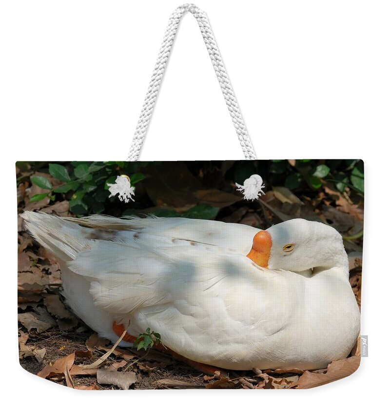 Duck Weekender Tote Bag featuring the photograph Duck resting by Fotosas Photography