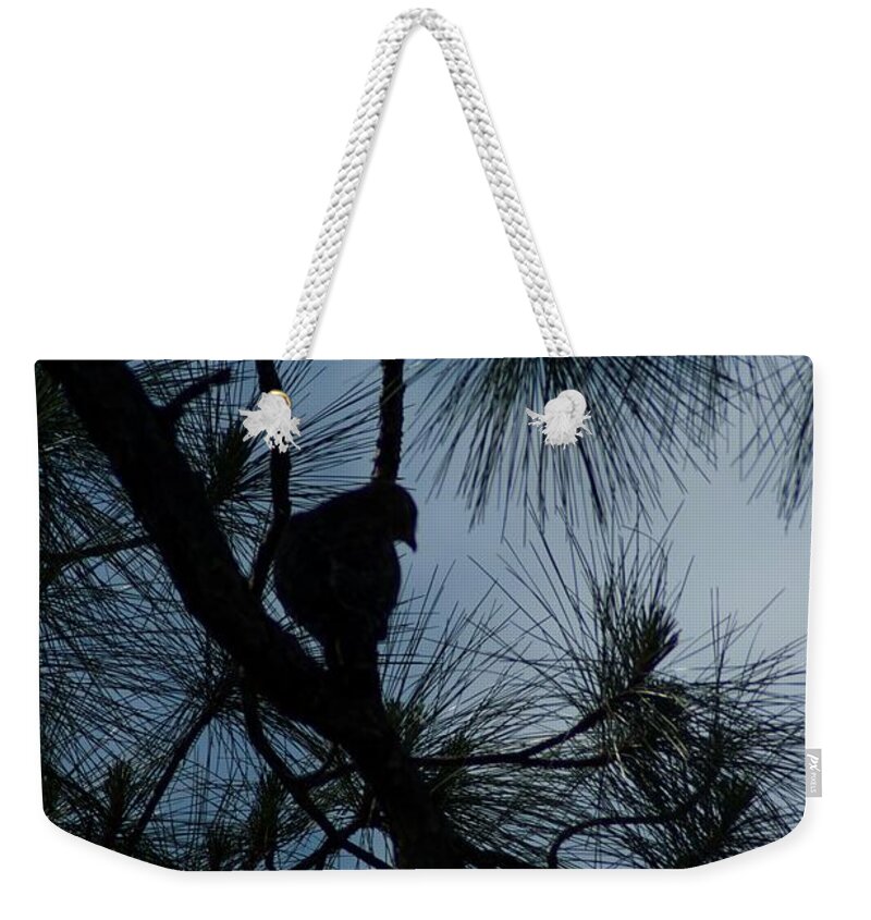 Florida Weekender Tote Bag featuring the photograph Dusk by Joseph Yarbrough