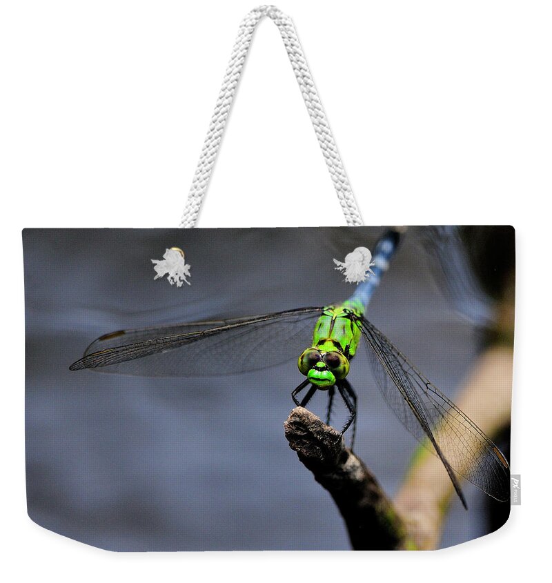 Eastern Weekender Tote Bag featuring the photograph Eastern Pondhawk by Bill Dodsworth