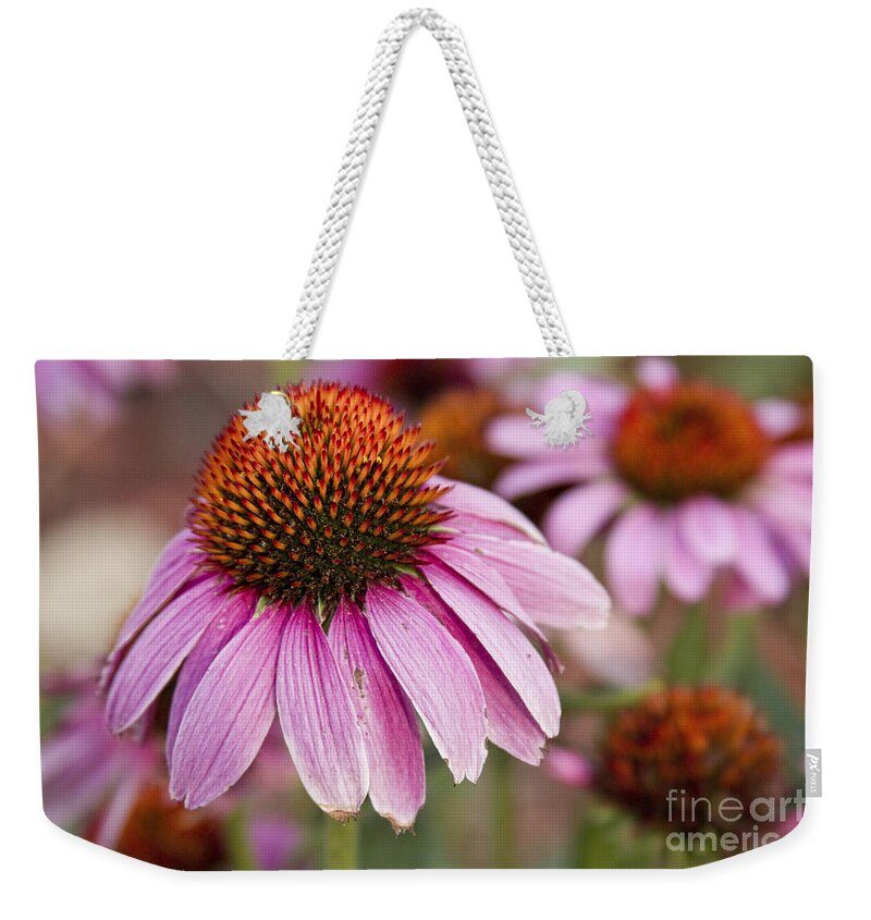 Echinacea Weekender Tote Bag featuring the photograph Echinacea Purple Coneflowers by James BO Insogna