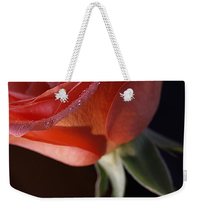 Rose Weekender Tote Bag featuring the photograph Elegance l by Shirley Mitchell