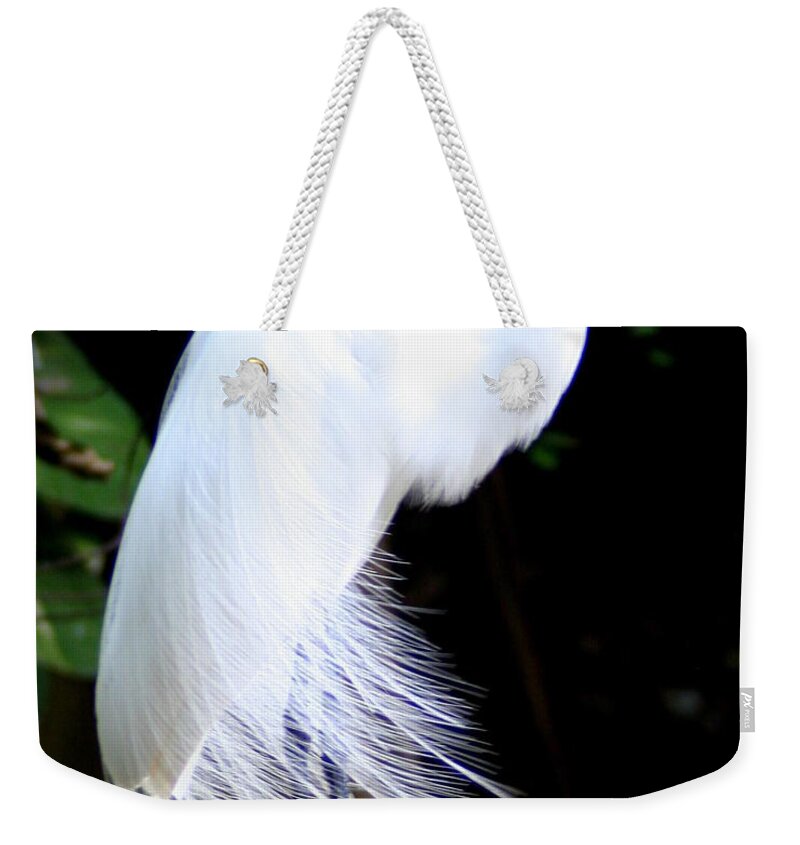 Snowy Weekender Tote Bag featuring the photograph Elegant Egret at Water's Edge by Laurel Talabere