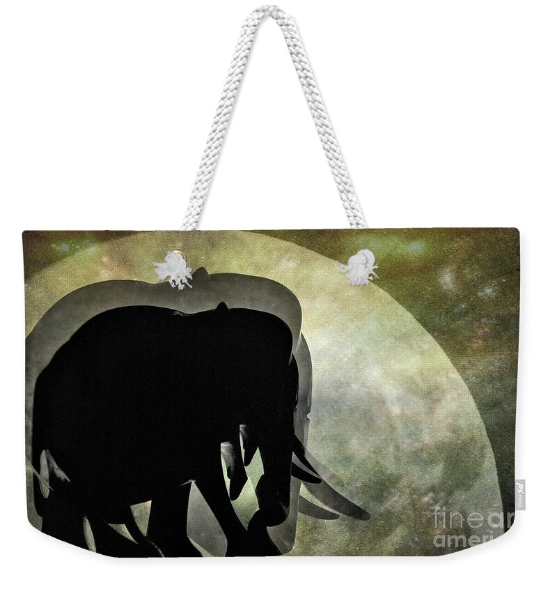 Photography Weekender Tote Bag featuring the photograph Elephants on Moonlight Walk 2 by Kaye Menner