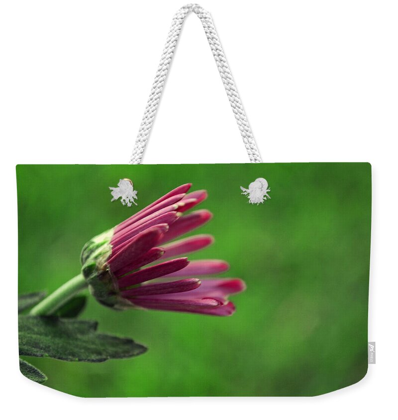Chrysanthemum Weekender Tote Bag featuring the photograph Evolve by Melanie Moraga
