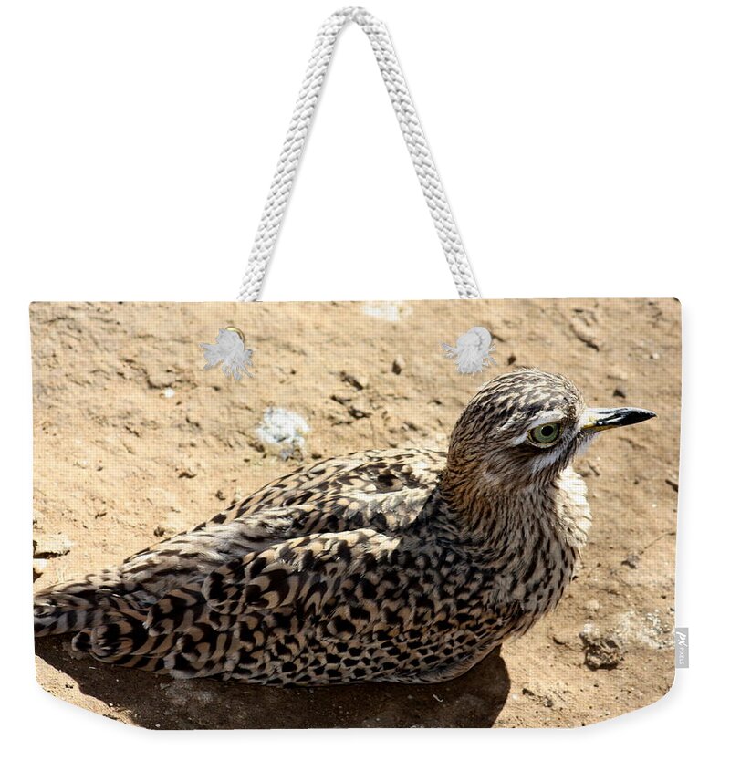 Bird Weekender Tote Bag featuring the photograph Exotic bird by Kim Galluzzo