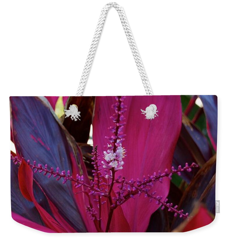 5th Avenue Weekender Tote Bag featuring the photograph Explosion by Joseph Yarbrough