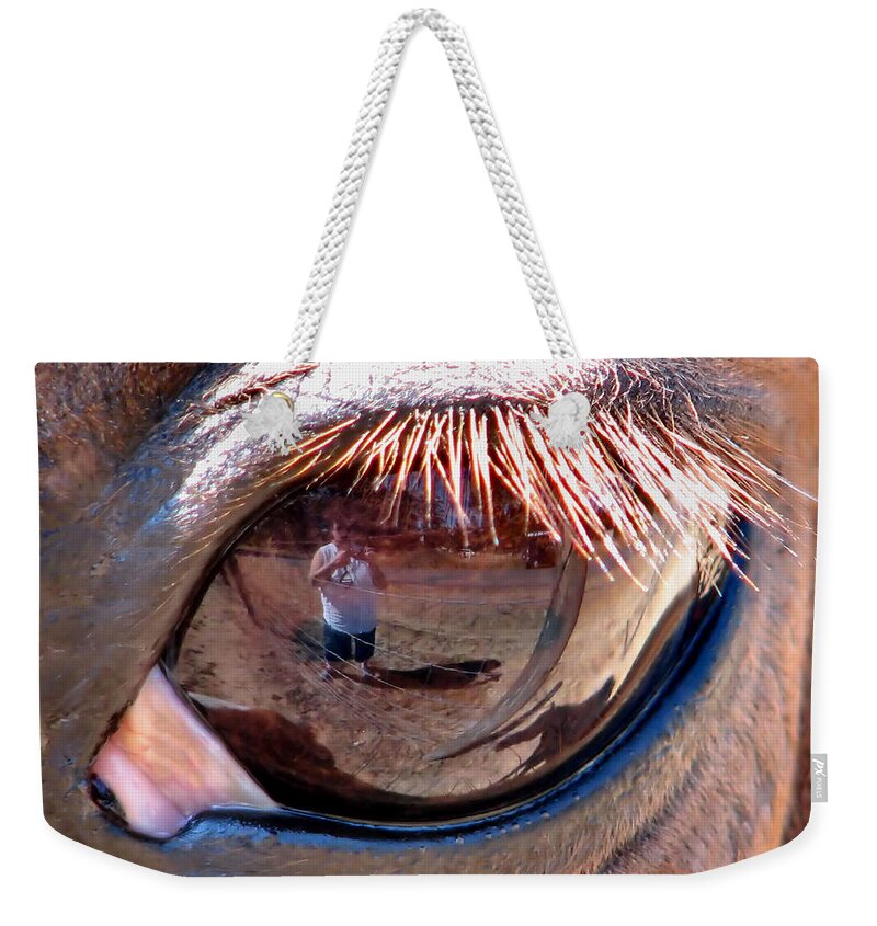 Horse Weekender Tote Bag featuring the photograph Eye Of The Beholder by Rory Siegel