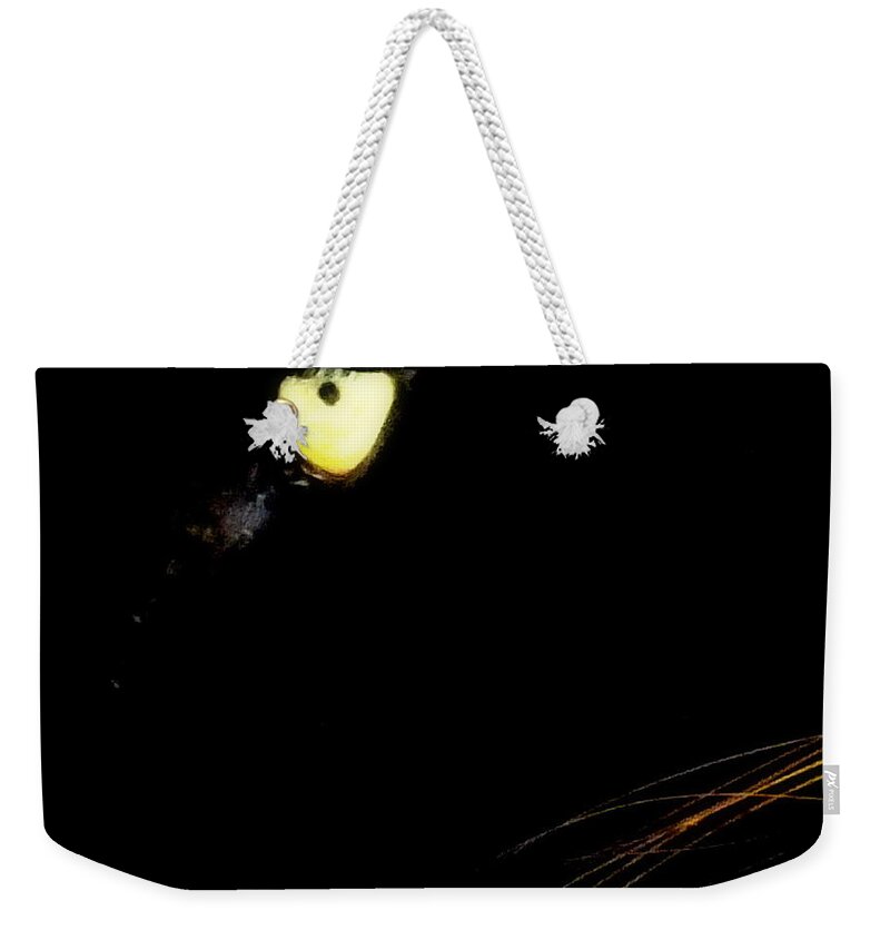 Black Panther Weekender Tote Bag featuring the photograph Eye of the Panther by Karen Wiles