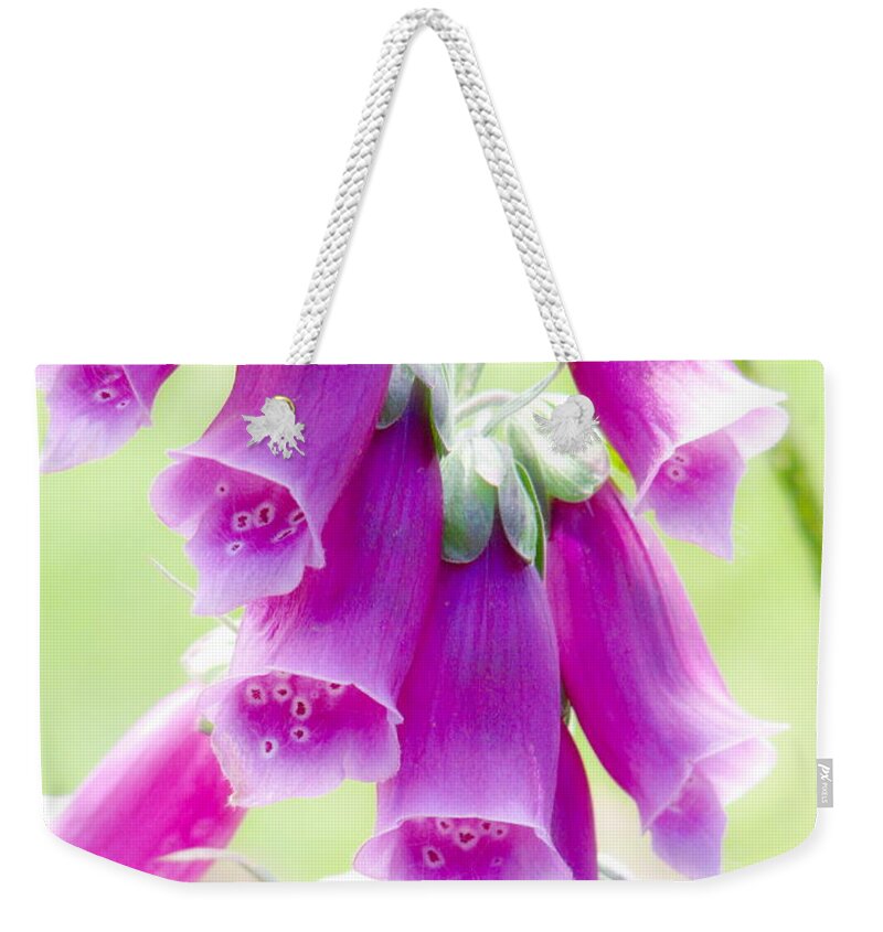 Foxglove Weekender Tote Bag featuring the photograph Faerie Bells by Rory Siegel