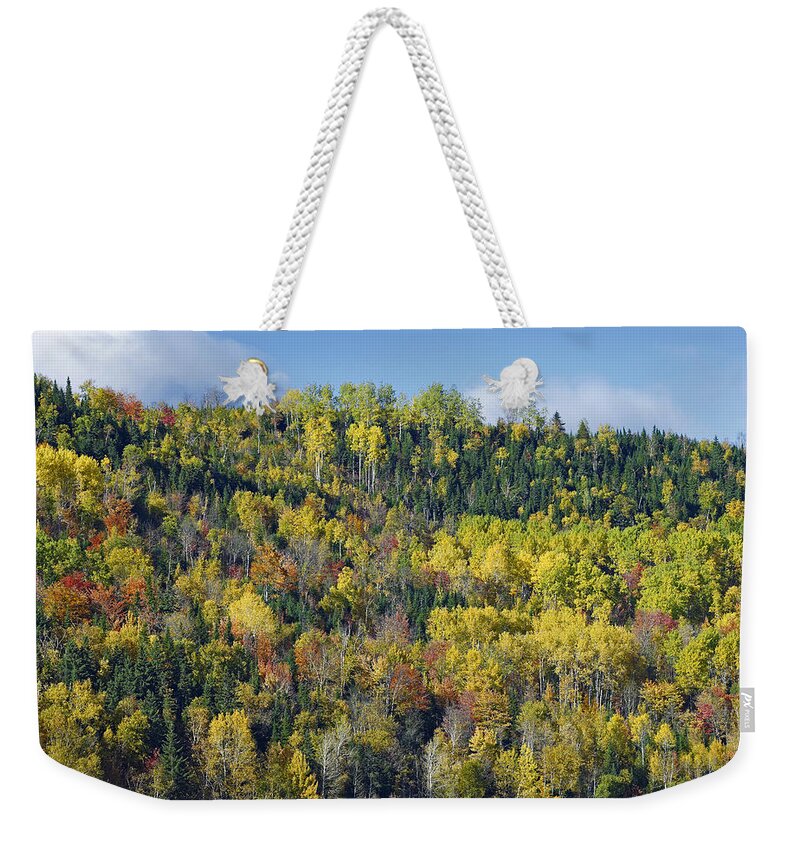 00176917 Weekender Tote Bag featuring the photograph Fall Colors Chic Chocs Quebec Canada by Tim Fitzharris