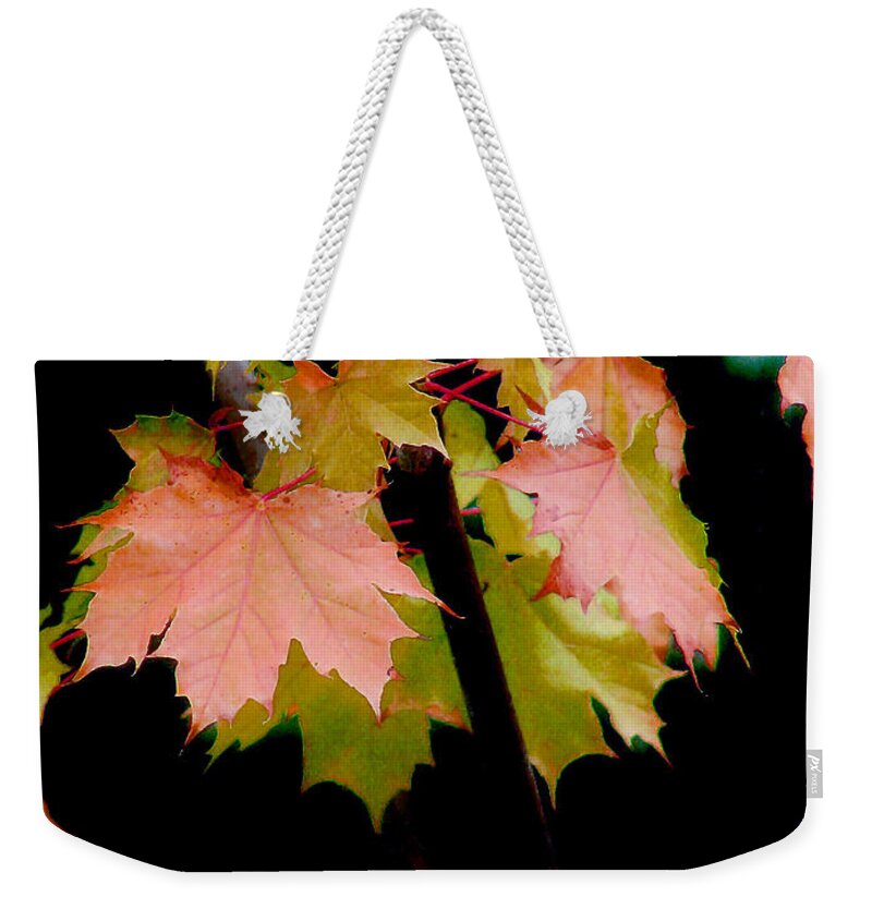Leaf Weekender Tote Bag featuring the photograph Fall Grandeur by Rory Siegel